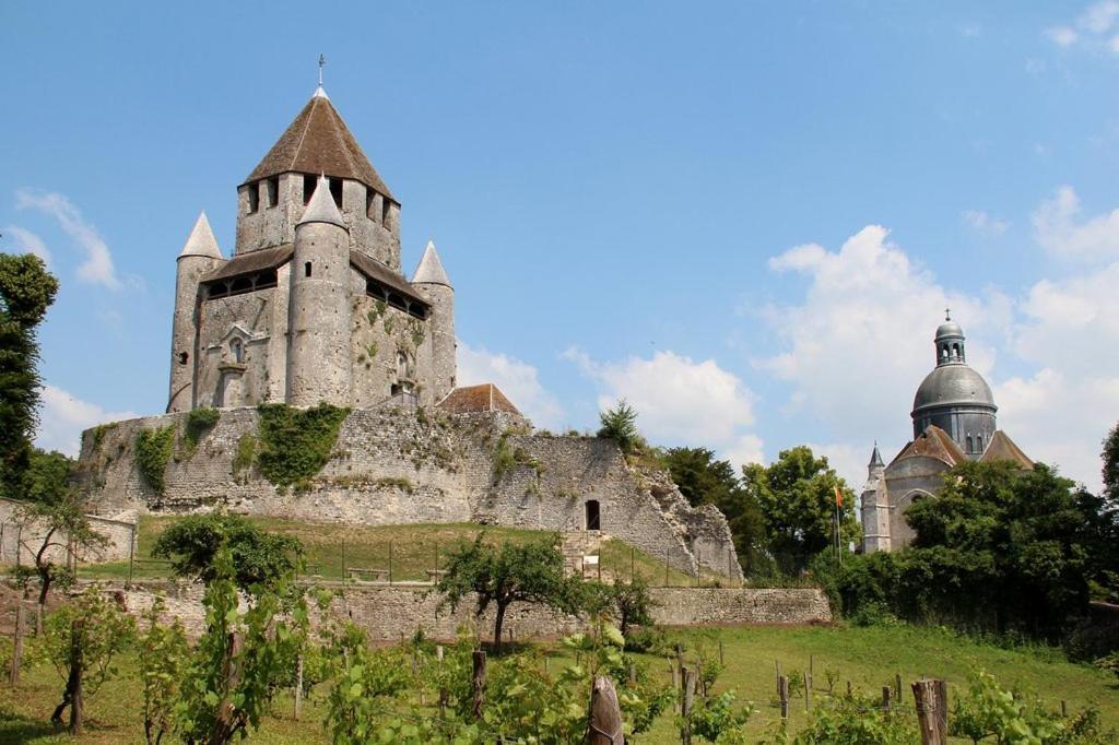 La Voulzie Appartement - Proche Centre Avec Parking Prive Provins Kültér fotó