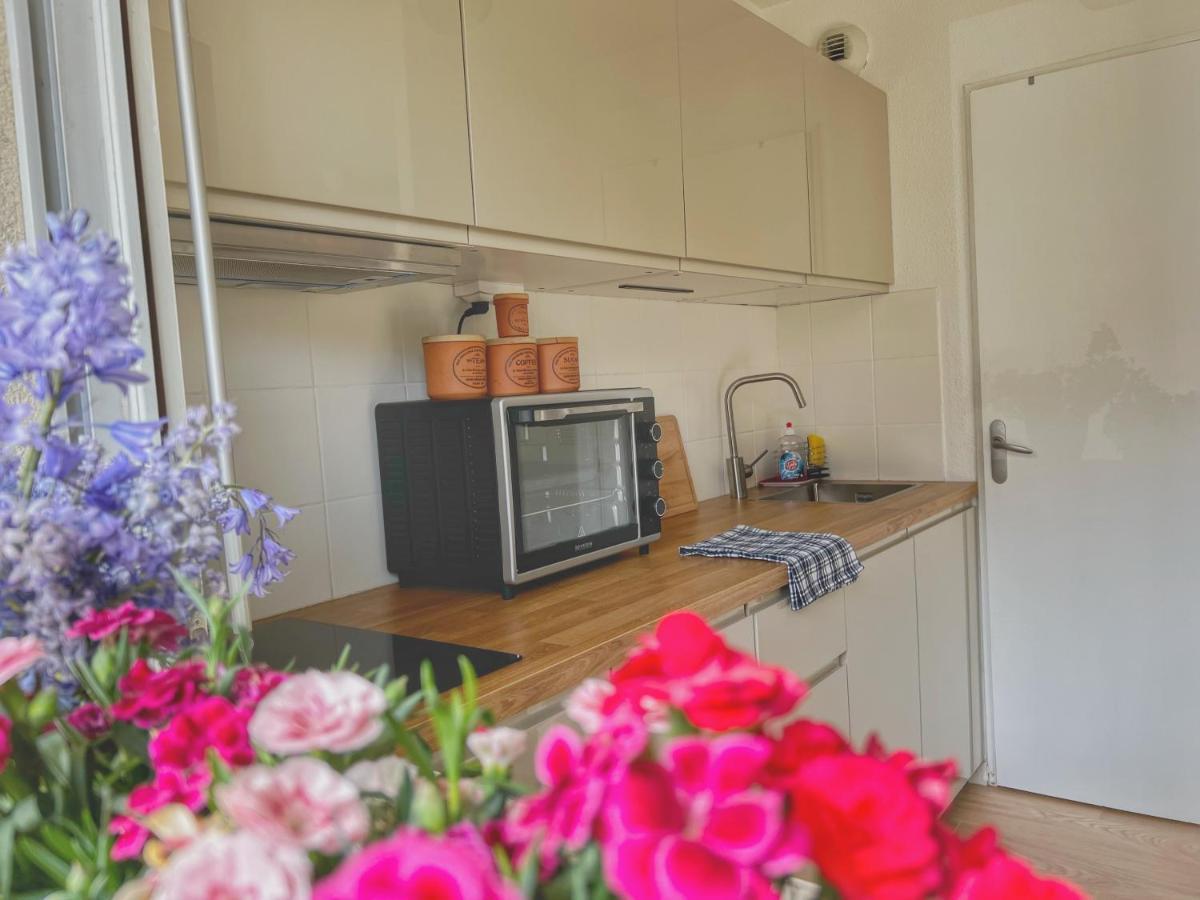 La Voulzie Appartement - Proche Centre Avec Parking Prive Provins Kültér fotó