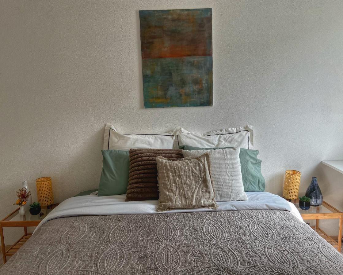 La Voulzie Appartement - Proche Centre Avec Parking Prive Provins Kültér fotó