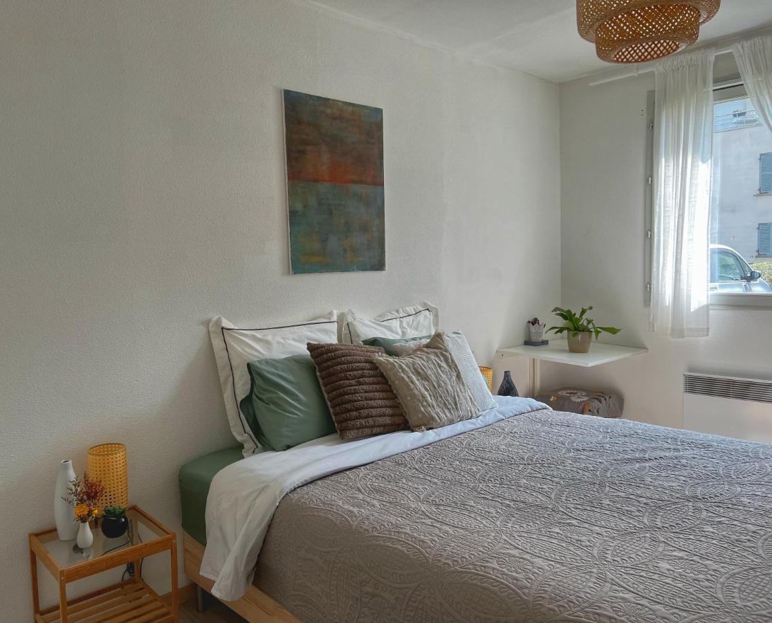 La Voulzie Appartement - Proche Centre Avec Parking Prive Provins Kültér fotó
