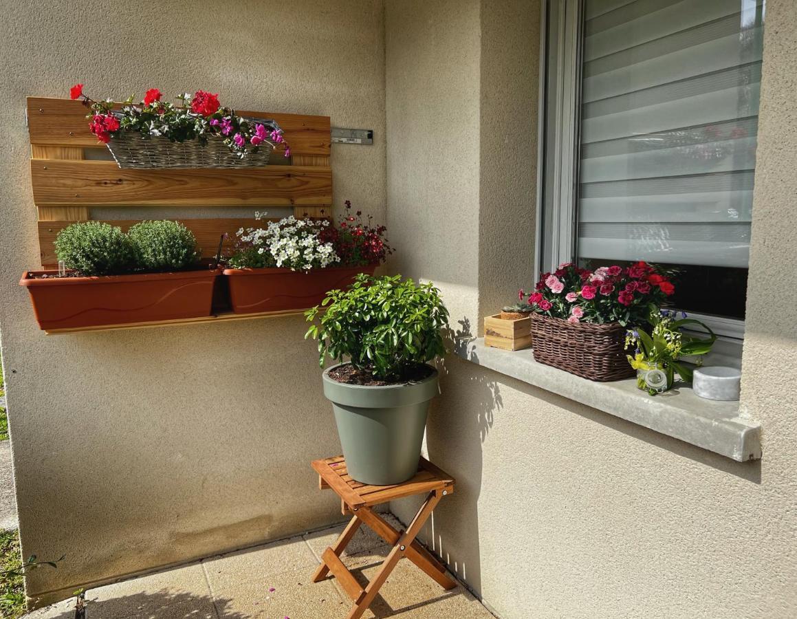 La Voulzie Appartement - Proche Centre Avec Parking Prive Provins Kültér fotó